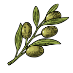 Oliven in der italienischen Küche